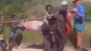 Дикие племена Людоедов в наше время Документальн