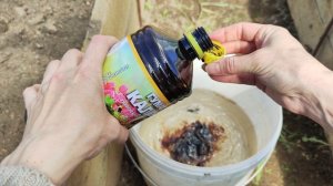 Посадка томатов (биотехнология АС-35). 2 способа посадки.