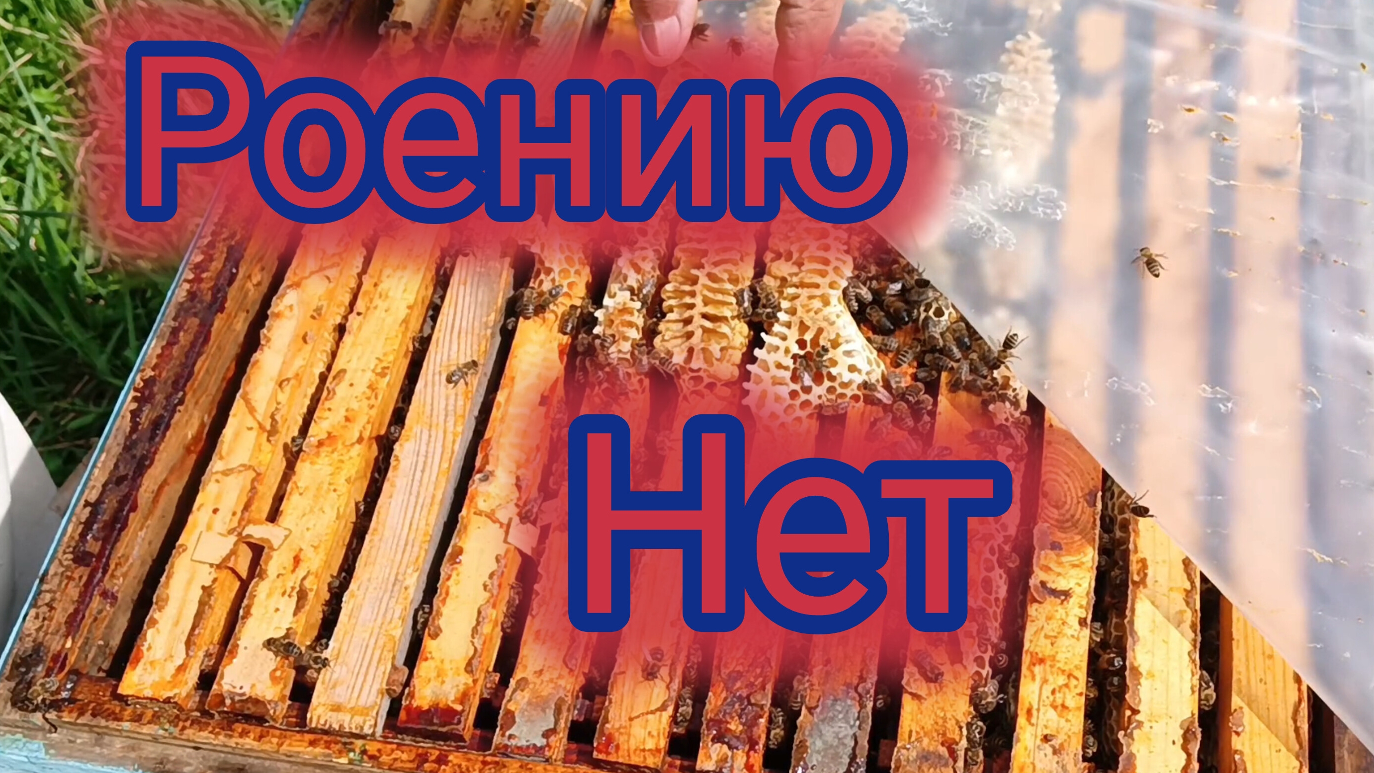 Роению нет смотреть онлайн