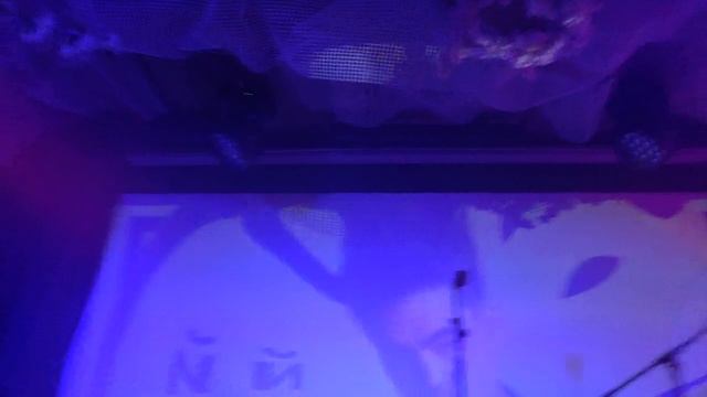 Маленький Буддист(Шоукейс «Громче»,«Звук»,бар «Ровесник»,24.04.2025) смотреть онлайн