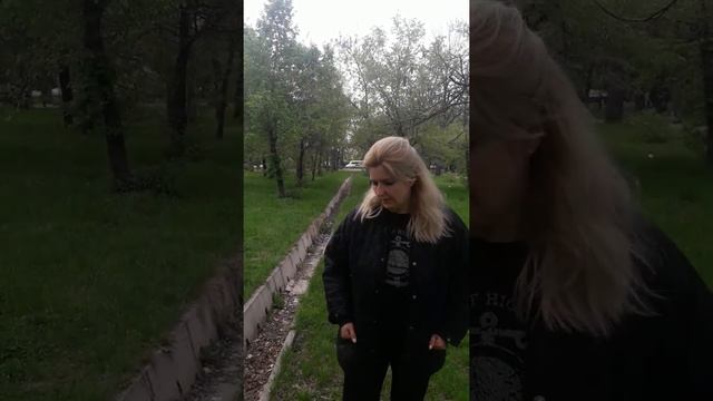 Ворчливая жена и хаски