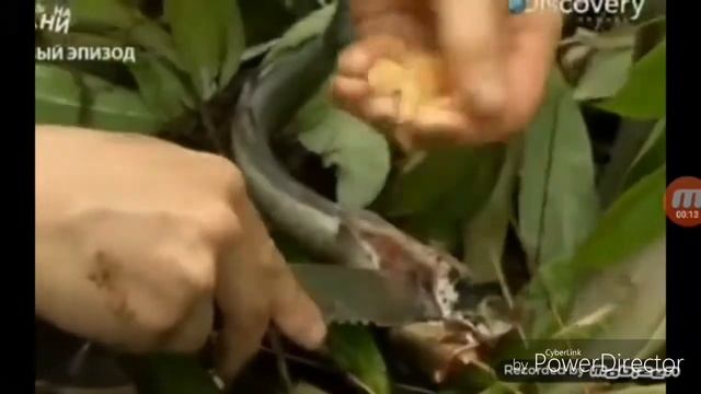 Приколы на рыбалке +18 смотреть онлайн