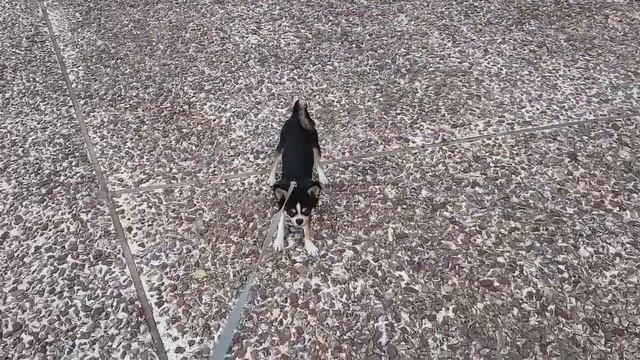 Хороших выходных! Утро в Волосе! Греция. смотреть онлайн