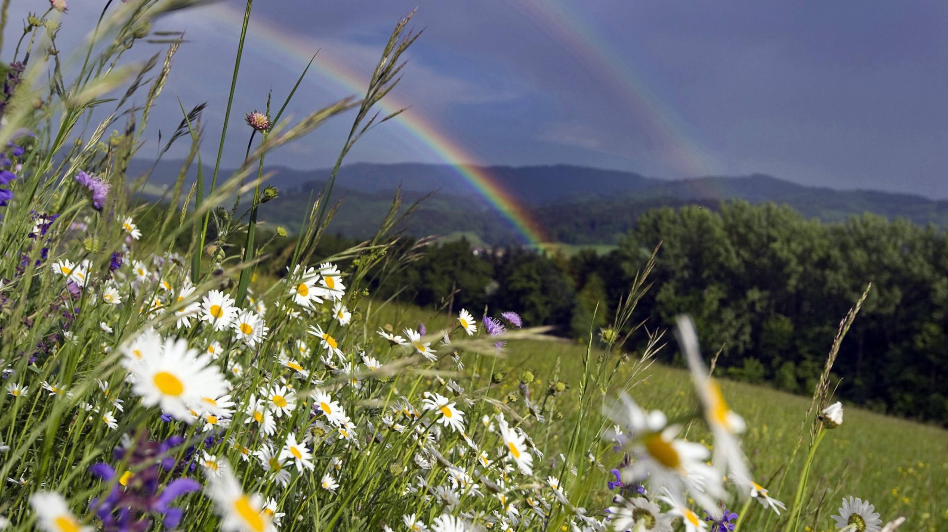 80 Облака. DeadRomantic. 16.02.2020. стихи Алексей Семёнов saman.