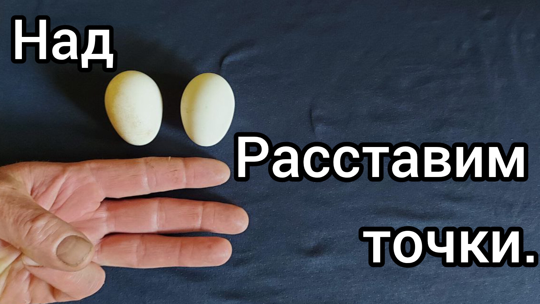 Пушкинские куры. Часть 1.