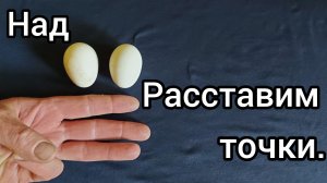 Пушкинские куры. Часть 1.