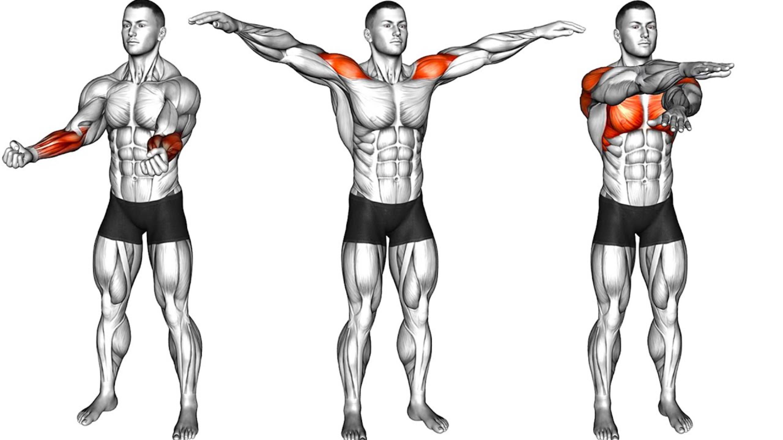 Утренняя Тренировка Стоя для начинающих смотреть онлайн