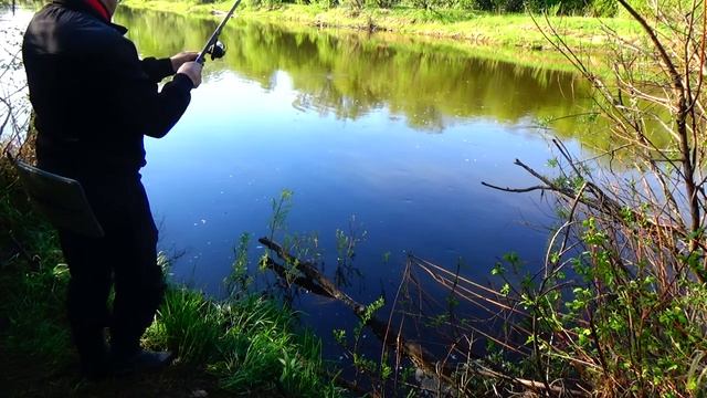 Рыбалка на реке Лобва. Язи Монстры👹 рвут леску😯. Свердловская область..mp4 смотреть онлайн