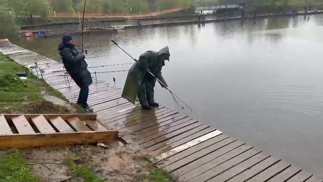 Основной водоем Карп смотреть онлайн