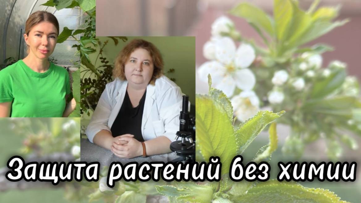 МНЕНИЕ ЭКСПЕРТА: защита растений от болезней и вредителей без помощи химических препаратов смотреть онлайн