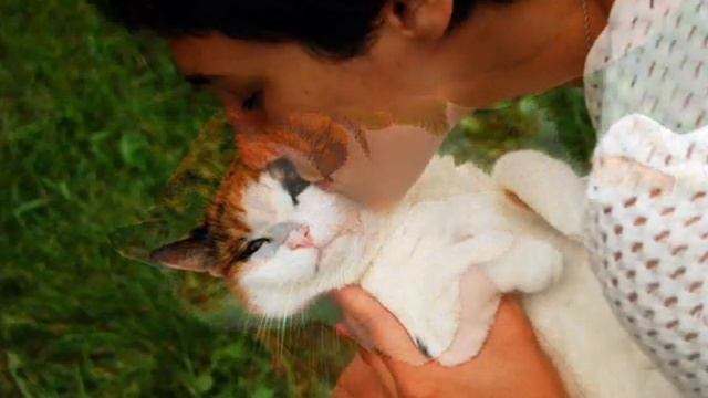 труська..wmv смотреть онлайн