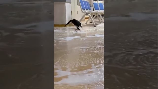 Подсудимый даун смотреть онлайн