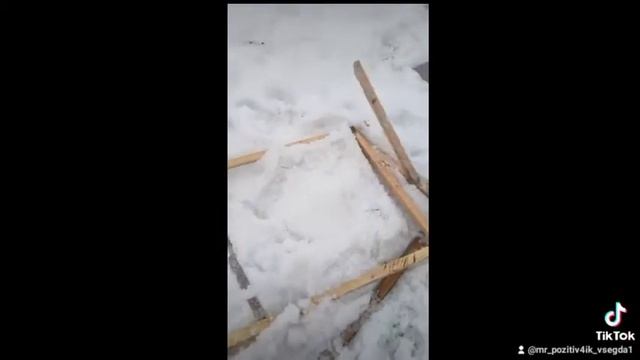 костер дома смотреть онлайн