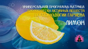 Лимон 🔊 программа матрица по технологии Гаряева П.П ☀️ SoftRadio.ru