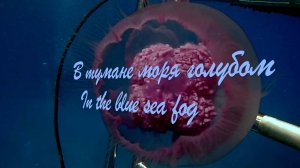 В тумане моря голубом