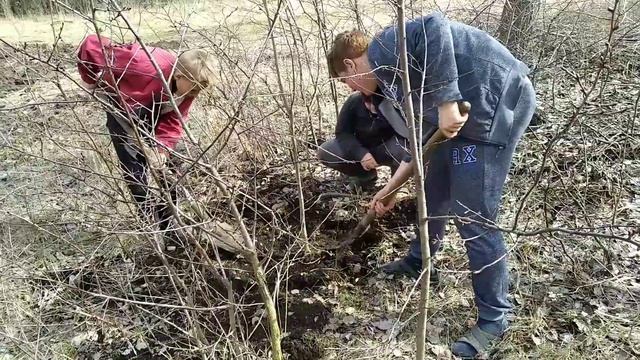 Будущий парк руками детей! смотреть онлайн