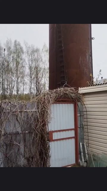 Североатлантический циклон пощадил нас и атаковал слабо смотреть онлайн