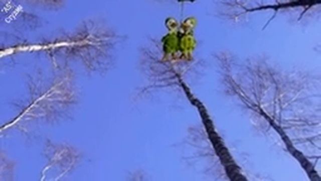 Помню первую любовь смотреть онлайн