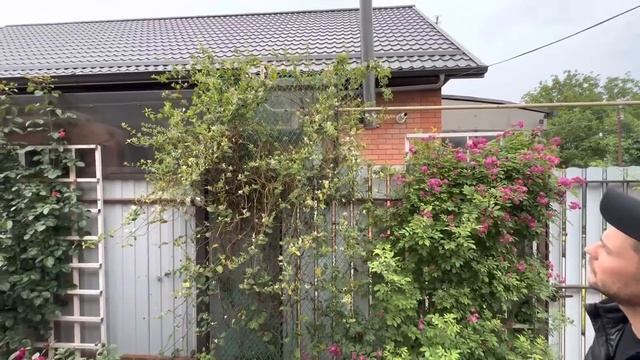 VID_20250501_213003_721.mp4 смотреть онлайн