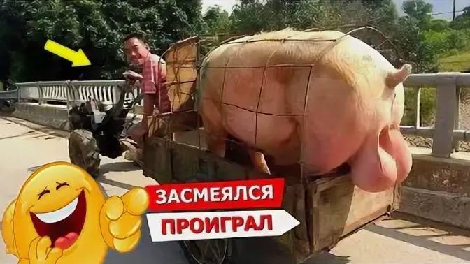 Я РЖАЛ ДО СЛЕЗ 😂 5 Минут ОТБОРНЫХ приколов 2025 Смешные видео - Лучшие ПРИКОЛЫ смотреть онлайн