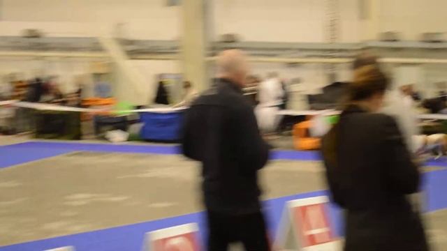 DSC_0018 Киев, 21 апреля 2013 чемпионат амбулей смотреть онлайн