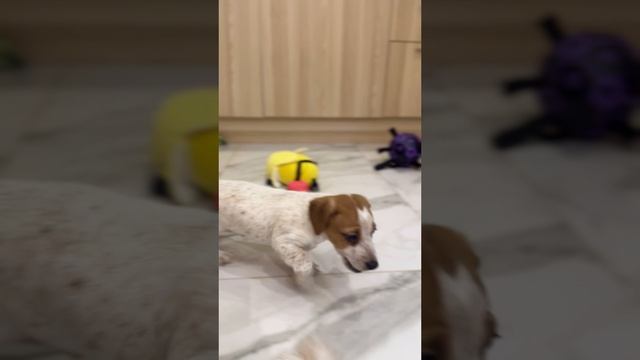 Солнечный мальчишка