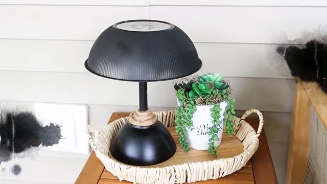 You Wont Believe How I Used DOLLAR TREE Solar Lights for High End DIYS | Patio + Outdoor DIYS 2023 смотреть онлайн