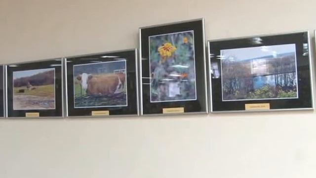 Открытие фотовыставки Глеба Цуканова "Открывая Украину. Седнев" смотреть онлайн