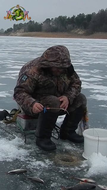 ЗИМНЯЯ РЫБАЛКА.ПРИКОЛ🎣🐟😂👀#shorts смотреть онлайн