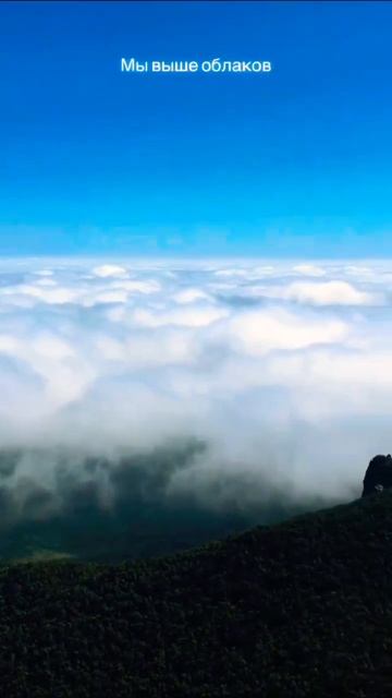 Вид с горы Бештау #youtubeshorts #природа #subscribe #красота #travel #runningblogger