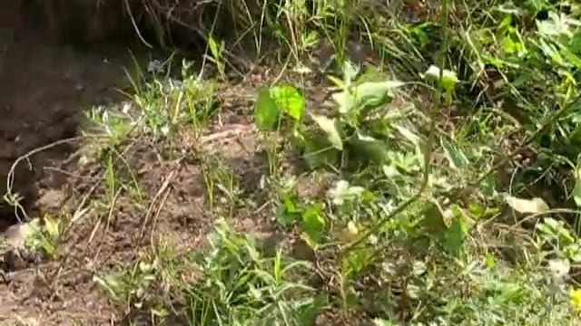 Встречи на рыбалке смотреть онлайн