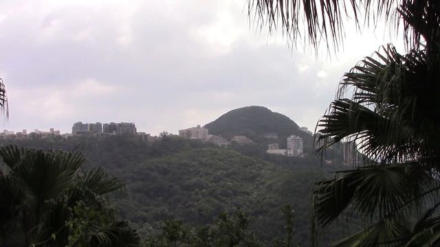 Остров Гонконг. Пик Виктория. Весь день 👁👁👁 смотреть онлайн