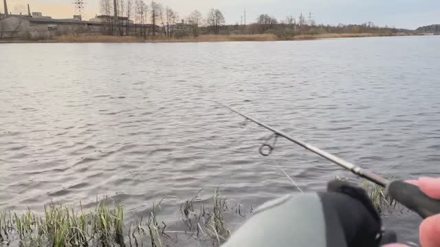 Твичинг. Спиннинг для твичинга. Половил перед нерестовым запретом.🎣