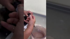 Кошка слабая, но живая