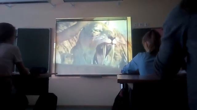 Как охотится саблизубый тигр Смелодон смотреть онлайн