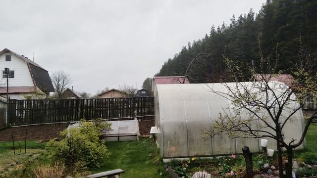 Дождь: фото смотреть онлайн