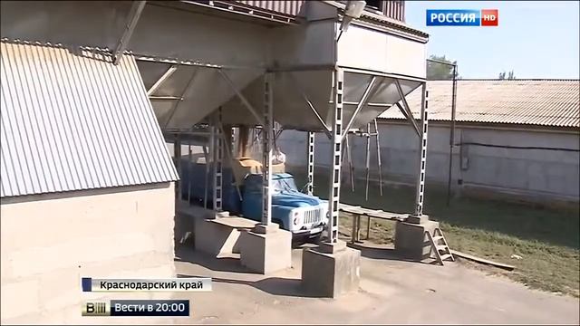 Кубань празднует рекордный урожай 02 08 2015