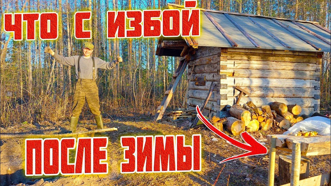 ЧТО СО СТАРОЙ ЛЕСНОЙ ИЗБОЙ ПОСЛЕ ЗИМЫ? НАВЕЛИ ПОРЯДОК И СДЕЛАЛИ УЛИЧНЫЙ СТОЛ