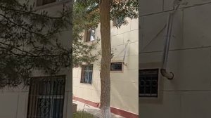 ТЕРМЕЗ, ДОМ РАЙОН СЕВЕРНЫХ ВОРОТ. ВАСЯ И ИРИНА, ПРИВЕТ # UZBEKISTAN #Узбекистан #ностальгия #город