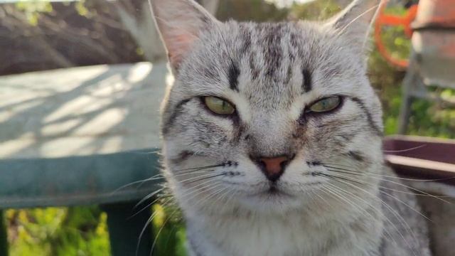 Первое мая, труд во имя мира\\ работа в саду и огороде смотреть онлайн