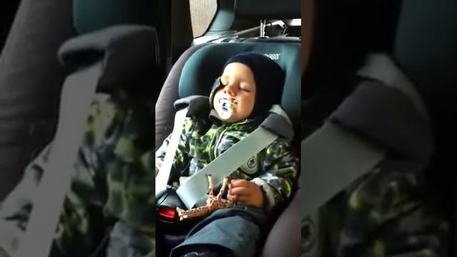 Роберт спит в машине смотреть онлайн