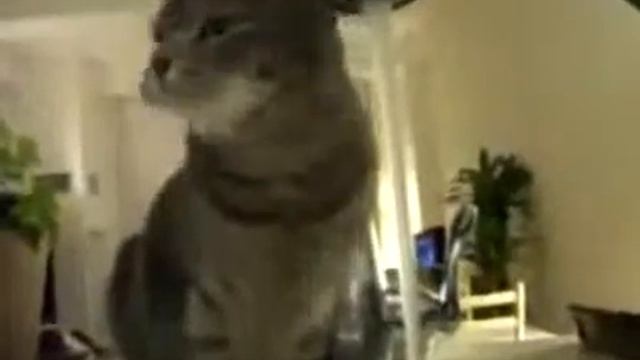 Понедельник день тяжелый Приколы смотреть онлайн