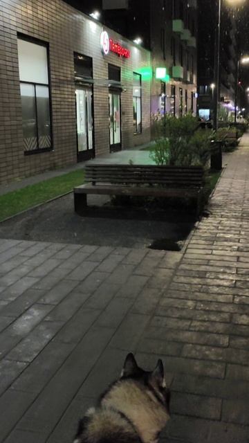 VID_20250501_225218.mp4 Погода 1мая 2025года.Москва.Прогулка перед сном .23часа. смотреть онлайн