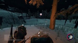 Где лучше всего искать енотов The Forest