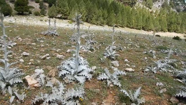 Стежка св. Павла. Туреччина. Язілі каньон-Сютчулєр-Сіпахілєр-Серпіл-Юкарі Гокдере-Давраз. Частина 3