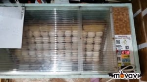 Лучший инкубатор для начинающих птицеводов - Инкубатор блиц норма 72. Все нюансы настроек