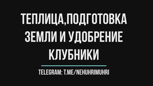 Теплица подготовка земли и удобрение клубники смотреть онлайн