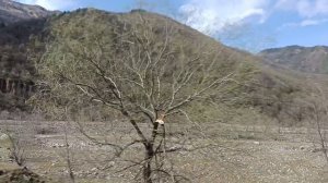 ГОРНЫЕ ПЕЙЗАЖИ КАВКАЗА ИЗ ОКНА АВТОБУСА