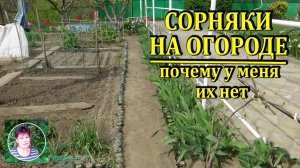 Борьба с сорняками. Почему у меня их нет