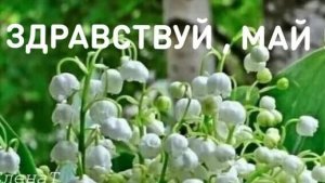 01-05-2025.Жизнь в деревне 🏡. Провожу время с внуком.